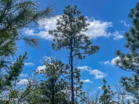 4303 NW Twin Ponds Rd, Altha, FL 32421 photo 12