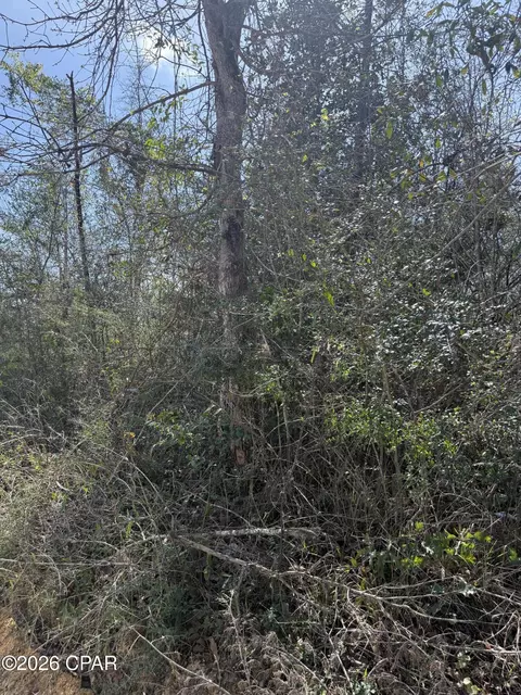 00 Mount Ararat Rd, Marianna, FL 32448