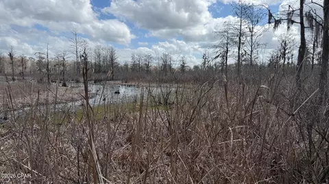 000 Neel Rd, Grand Ridge, FL 32442