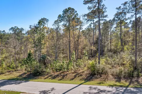 Nnn Pine Bluff Drive, Chipley, FL 32428