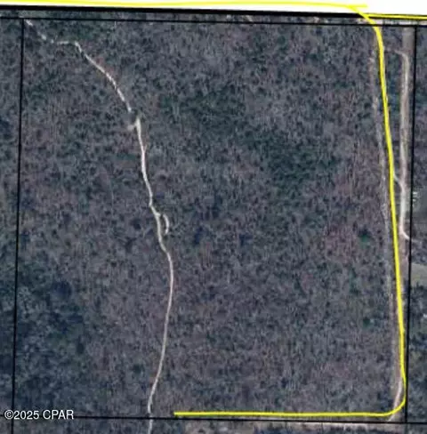 tbd NW Twin Ponds Rd, Altha, FL 32421