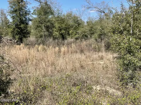 0 Speights Way, Bascom, FL 32423 photo 6