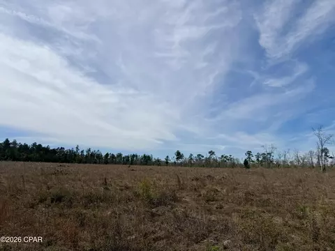 23 Acres Davenport Rd, Marianna, FL 32448