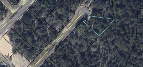 38 Malaluka Ct, Chipley, FL 32428 photo 5
