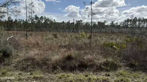 21703 Beech Valley Vly, Altha, FL 32421 photo 3