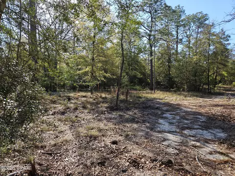 000 Preakness Pl, Chipley, FL 32428 photo 2
