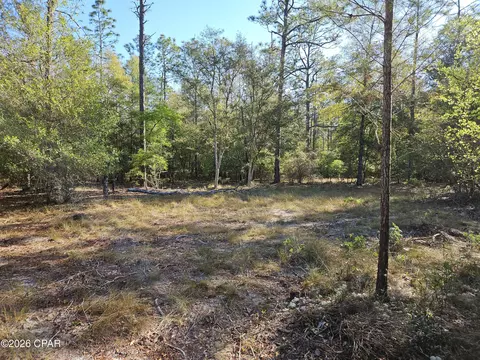 000 Preakness Pl, Chipley, FL 32428 photo 4