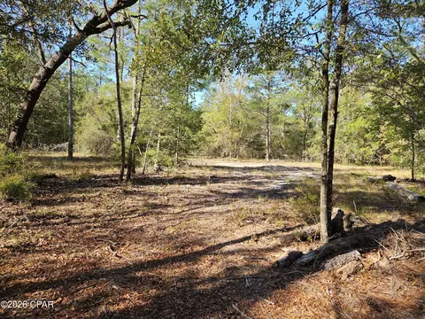 000 Preakness Pl, Chipley, FL 32428 photo 3