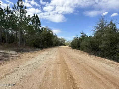6418 Mattox Springs Road #S2, Caryville, FL 32427
