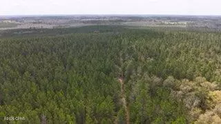 6418 Mattox Springs Road #S3, Caryville, FL 32427