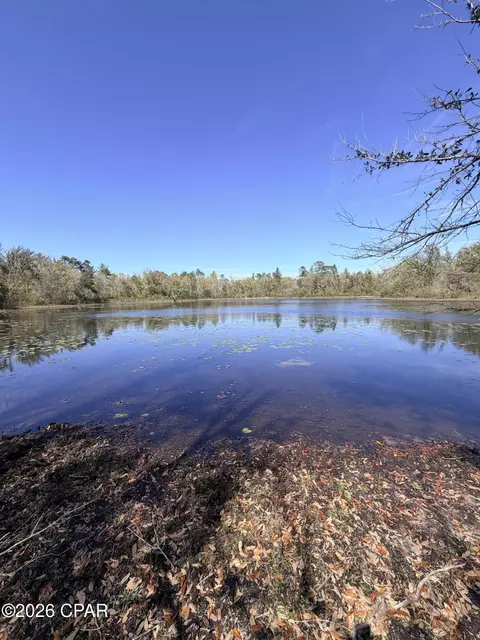 0 Yarborough Rd, Sneads, FL 32460