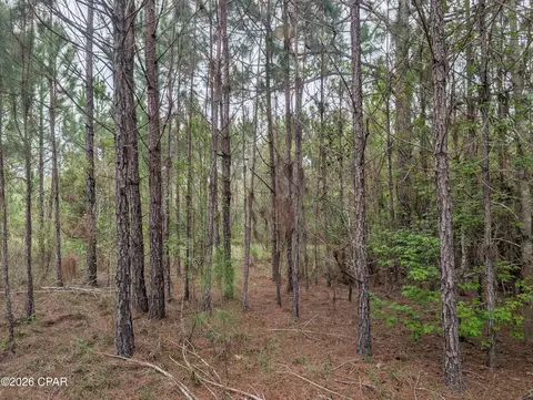 0 Sumac Rd #LOT 49, Westville, FL 32464