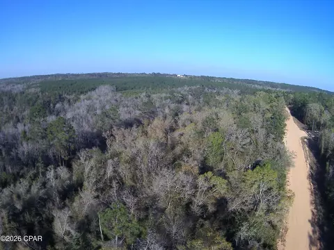 tbd Olivia Dr, Alford, FL 32420