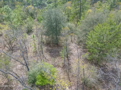 lot2 Esmont Ave, Chipley, FL 32428 photo 14