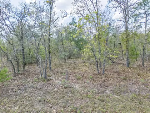 lot2 Esmont Ave, Chipley, FL 32428 photo 13