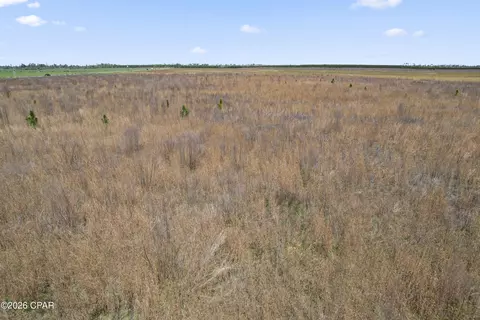 00 Sr 71, Kinard, FL 32449 photo 9