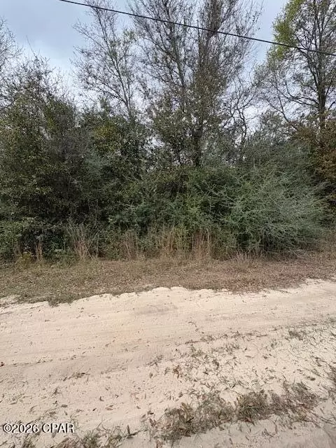 Na Pecan Shadows Drive, Youngstown, FL 32466