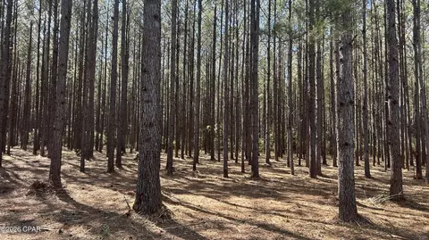 Y Grimes R Grimes Road, Laurel Hill, FL 32567