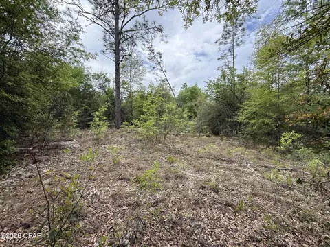 19678 Walsh Rd, Fountain, FL 32438