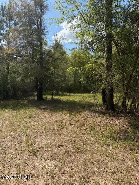0 Iron Bridge Rd, Marianna, FL 32448