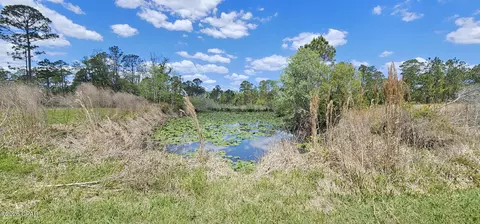 1890 Ocean Pond Dr, Perry, FL 32348 photo 13