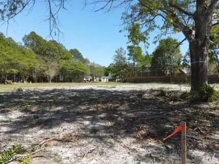 A State, Freeport, FL 32439 photo 6
