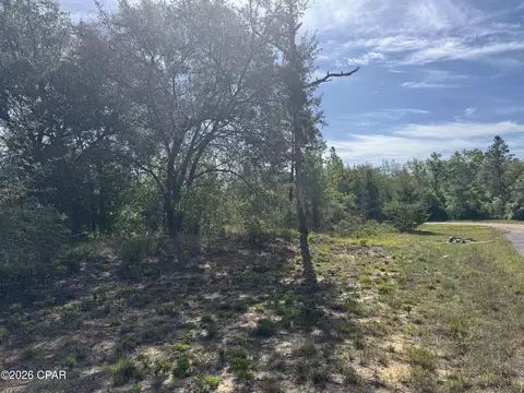 0000 Patroon Pl, Chipley, FL 32428 photo 3