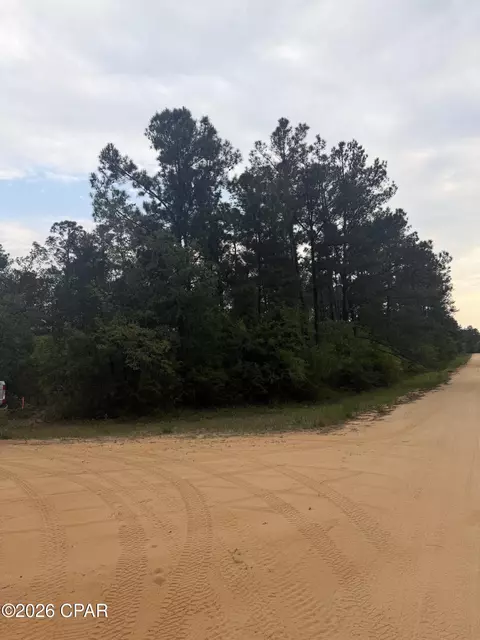 000 Deshutes Dr, Alford, FL 32420