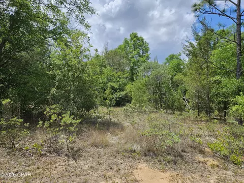 lot05 Voltaire Dr, Chipley, FL 32428