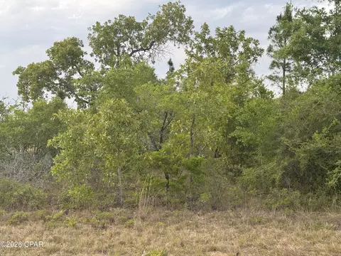 0000 Linden St, Chipley, FL 32428 photo 3