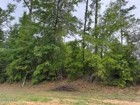 000 W Lakeview Dr, Wewahitchka, FL 32465