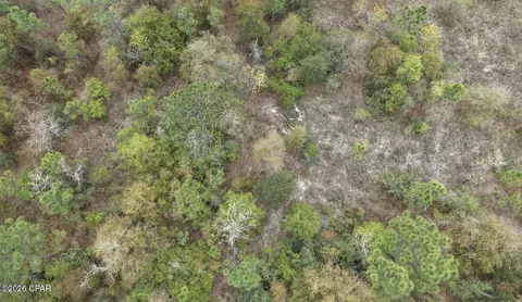 lot4 Shelby Ct, Chipley, FL 32428