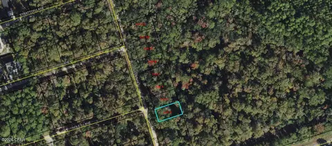 lot4 Fig Tree Ln, Crawfordville, FL 32327