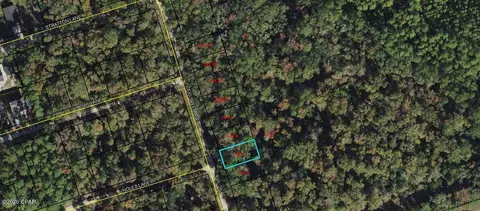 lot5 Fig Tree Ln, Crawfordville, FL 32327