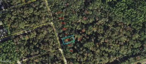 lot6 Fig Tree Ln, Crawfordville, FL 32327