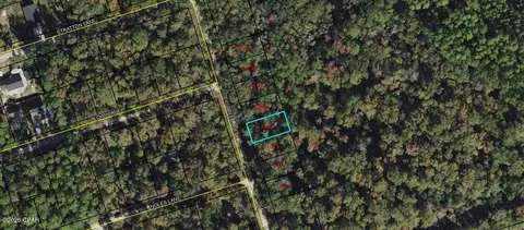 lot7 Fig Tree Ln, Crawfordville, FL 32327