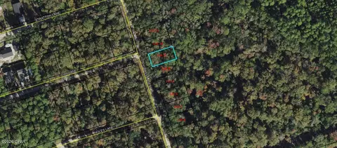 lot9 Fig Tree Ln, Crawfordville, FL 32327