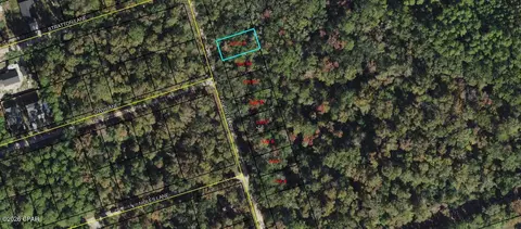 lot11 Fig Tree Ln, Crawfordville, FL 32327