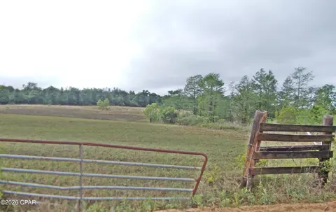 00 Express Rd, Grand Ridge, FL 32442