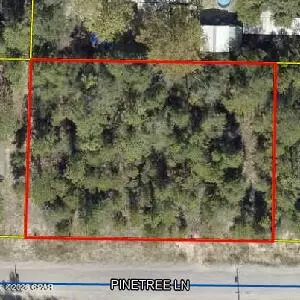 See Plot #N Pinetree Lane, Defuniak Springs, FL 32433