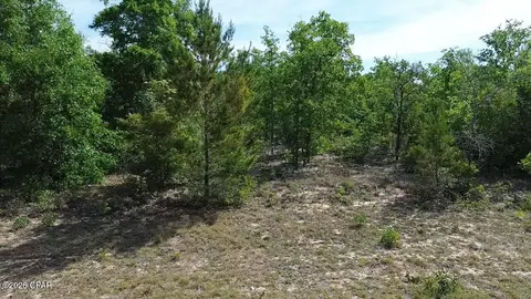 lot2 Baypoint Dr, Chipley, FL 32428 photo 7