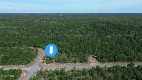 lot2 Baypoint Dr, Chipley, FL 32428 photo 4