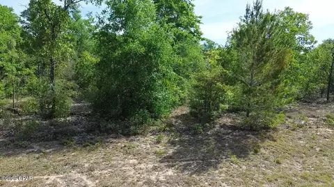 lot2 Baypoint Dr, Chipley, FL 32428 photo 6