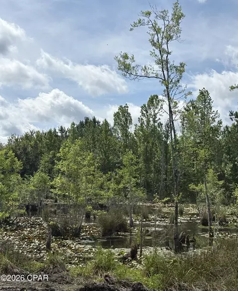 Nn Jj Whitaker Rd, Bonifay, FL 32425