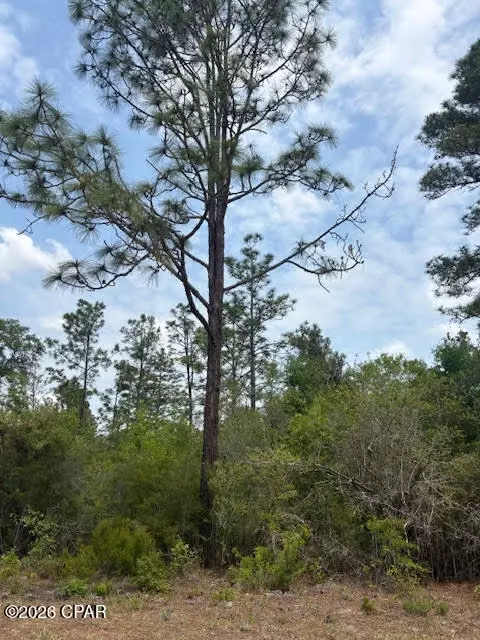 00 Southern Blvd #L4 B203, Alford, FL 32420