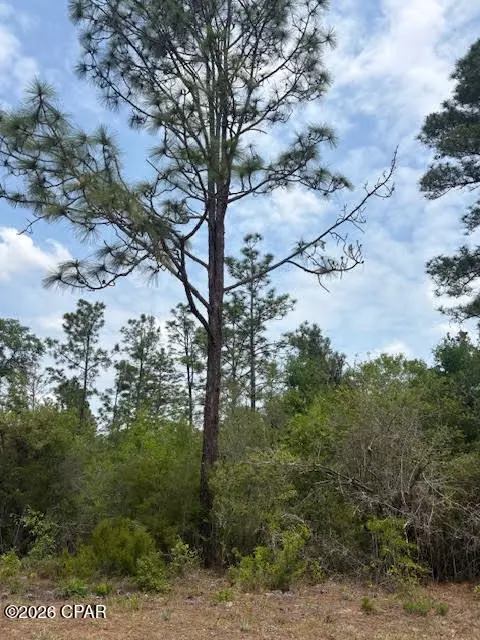 00 Southern Blvd #L4 B203, Alford, FL 32420