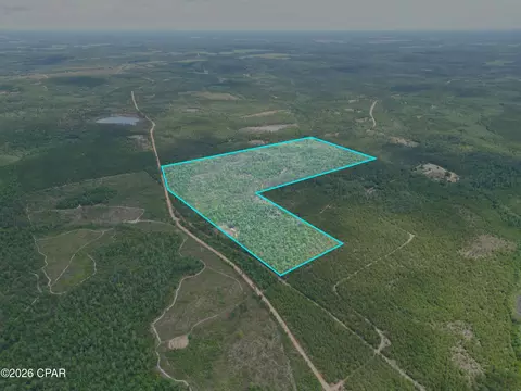 tbd Pittman Hill Rd, Marianna, FL 32448