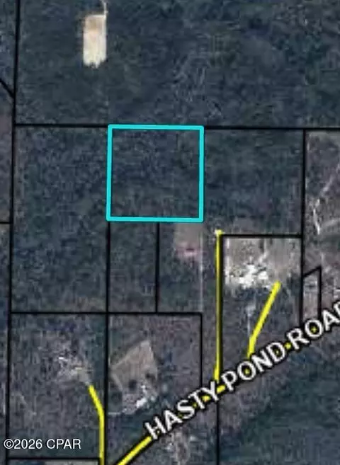 0 Hasty Pond Rd, Marianna, FL 32448