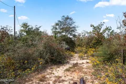 000 Powerline Rd, Chipley, FL 32428 photo 3