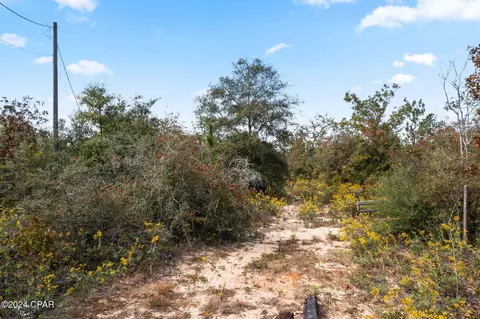 000 Powerline Rd, Chipley, FL 32428 photo 3